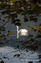 Herbst am See-021